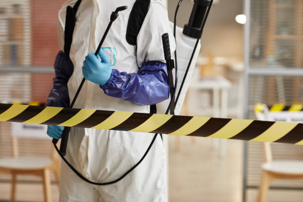 Professional Infectious Disease Decontamination technician working in East Weymouth, MA